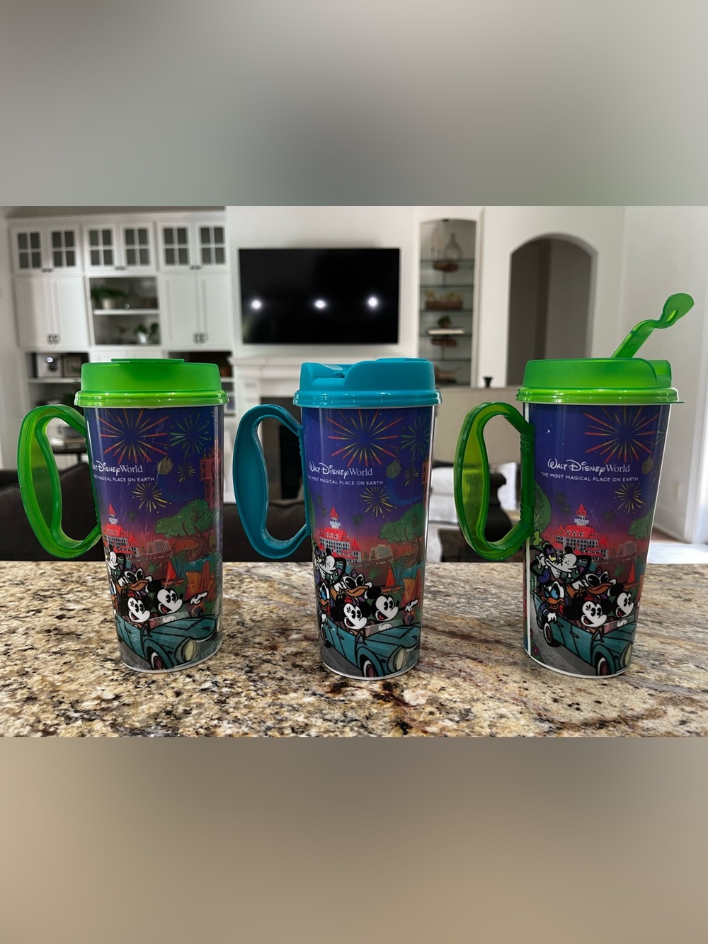Disney World Park Hot Cold Tumbler with Mickey & Friends